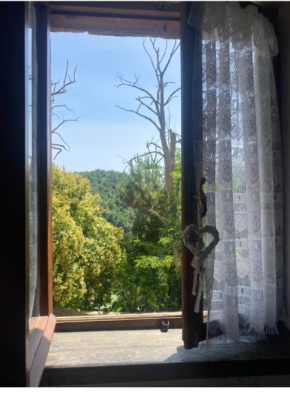La Casa di Bianca Calcata Vecchia